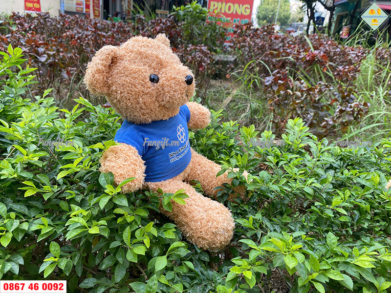 Quà tặng gấu bông doanh nghiệp: giải pháp Marketing "chạm" đến trái tim
